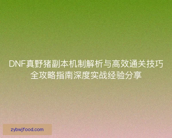 DNF真野猪副本机制解析与高效通关技巧全攻略指南深度实战经验分享